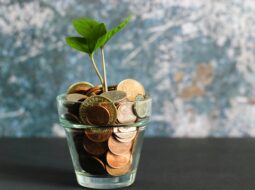 Financial Planning for Life’s Moments: Weddings, Birthdays, and Vacations Made Easier