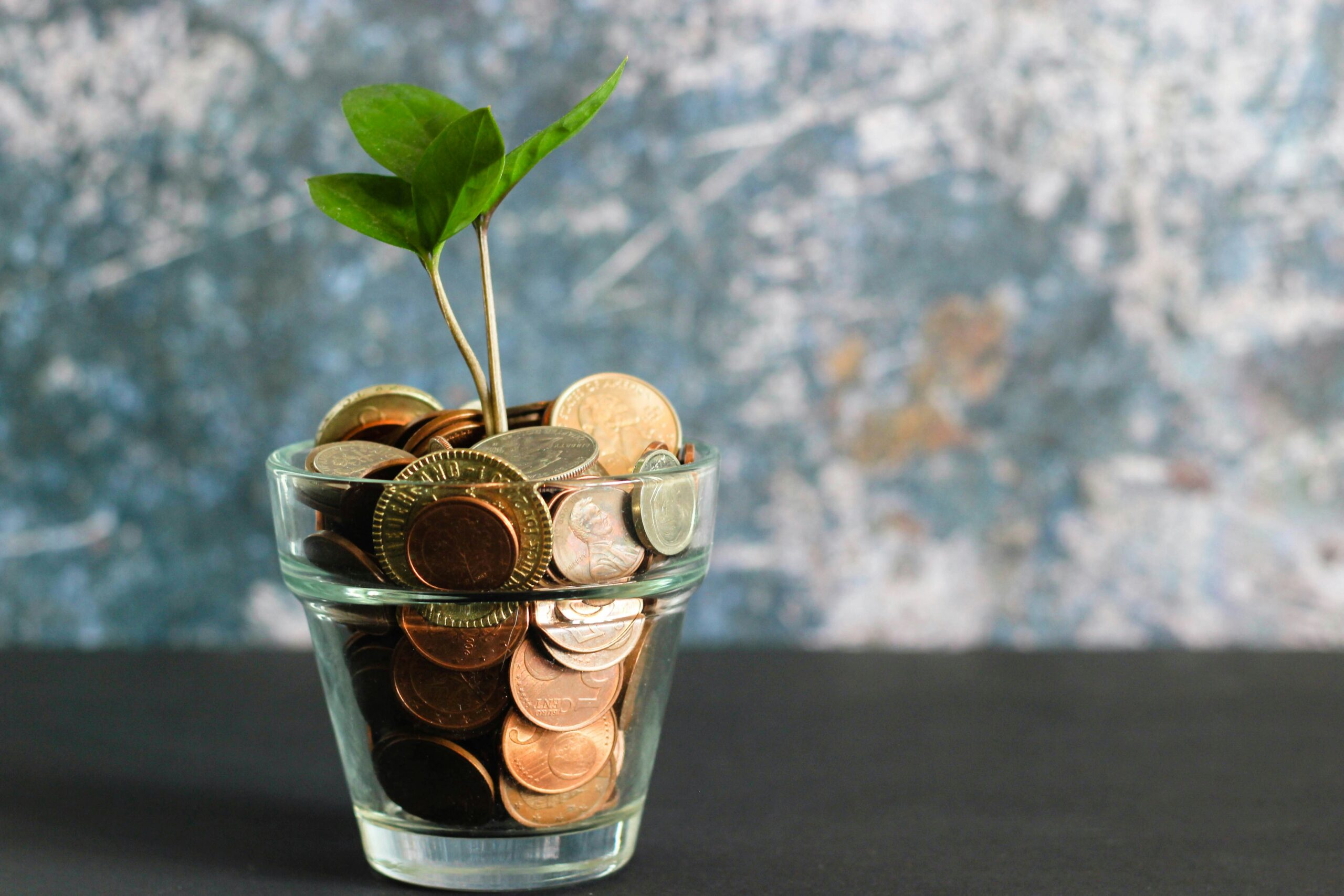 Financial Planning for Life’s Moments: Weddings, Birthdays, and Vacations Made Easier